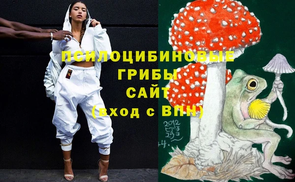 индика Зерноград