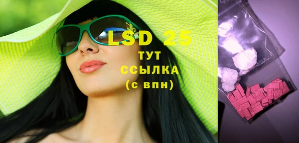 индика Зерноград
