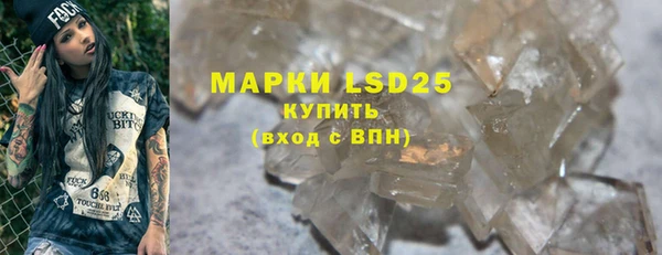 индика Зерноград