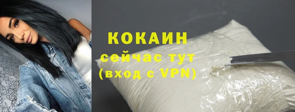 гашик Зеленокумск