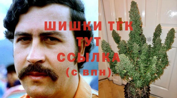 дживик Зеленодольск