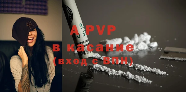 индика Зерноград