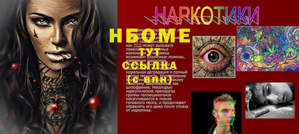 индика Зерноград