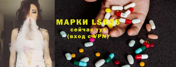 индика Зерноград