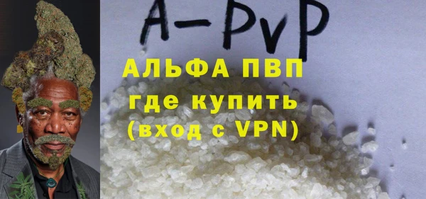 гашик Зеленокумск