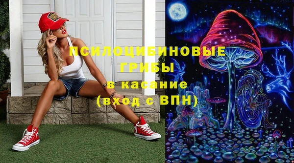 дживик Зеленодольск