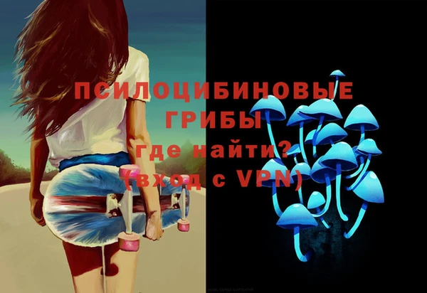 индика Зерноград